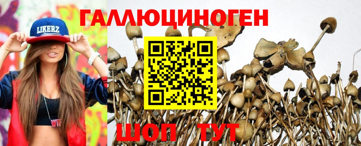 Псилоцибиновые грибы мицелий Вязьма