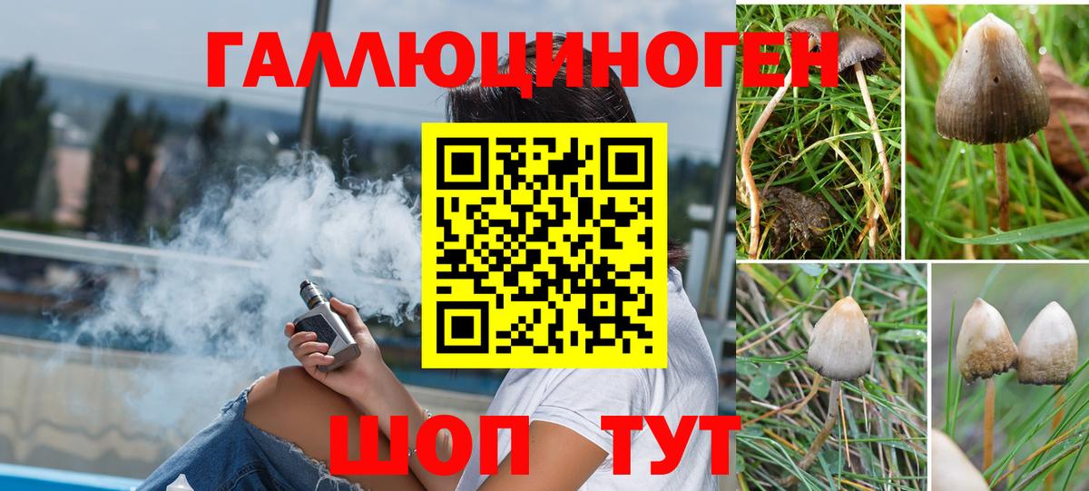 Псилоцибиновые грибы MAGIC MUSHROOMS  Псилоцибиновые грибы Cubensis  Вход с VPN  Вязьма 
