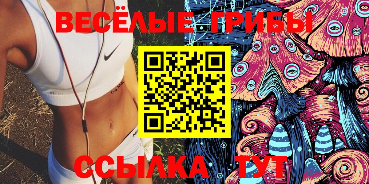 Псилоцибиновые грибы мухоморы  где продают наркотики  Вязьма 