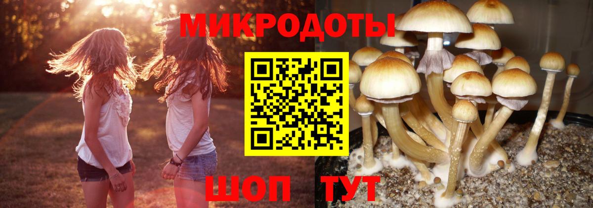 Cocaine Вязьма